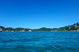 Roatan Mangrove Tour – East End Adventure